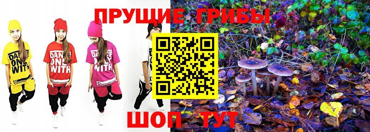 Слободской  Псилоцибиновые грибы MAGIC MUSHROOMS  Вход с VPN 
