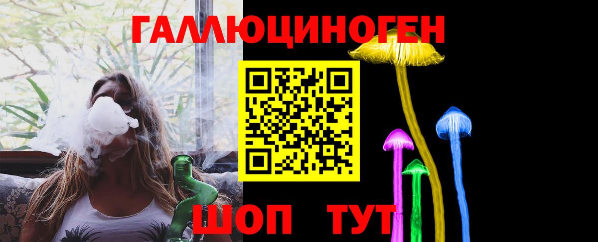 Галлюциногенные грибы Psilocybe Слободской